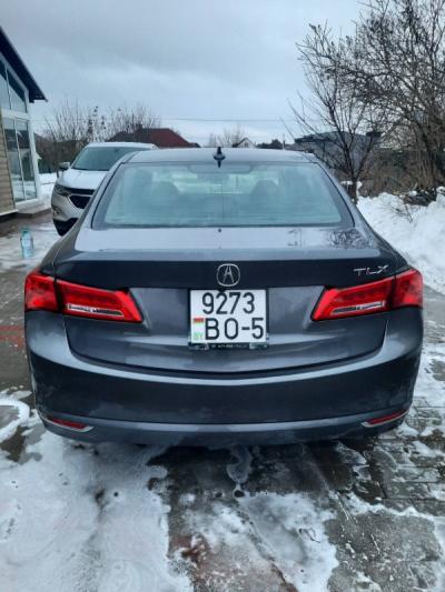  TLX