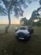 ������������� Audi A6 C6