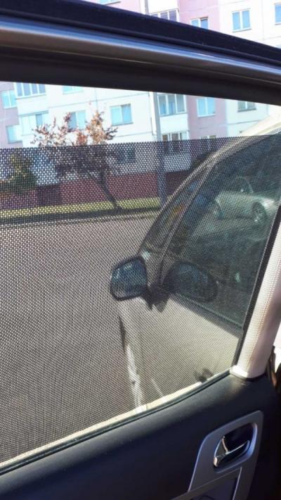  C4 Picasso