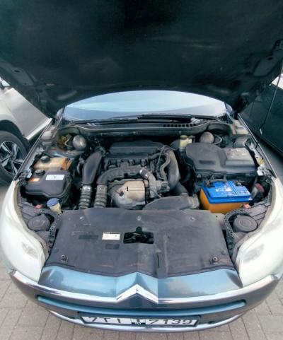 C5