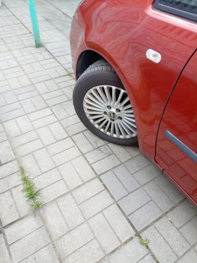  C-MAX