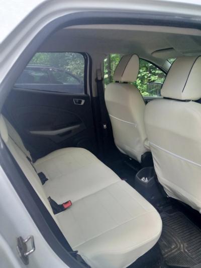  EcoSport