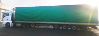 MAN TGX