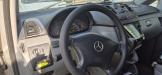 Mercedes Viano