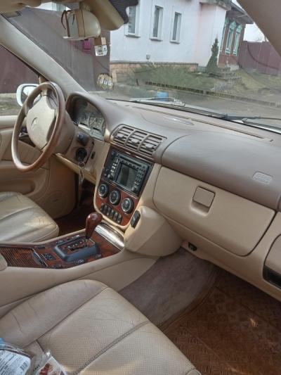  M Class (W164)
