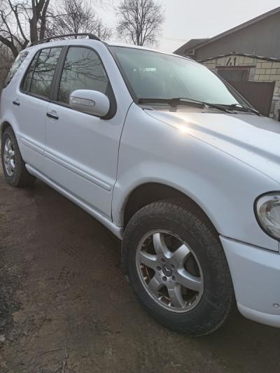  M Class (W164)