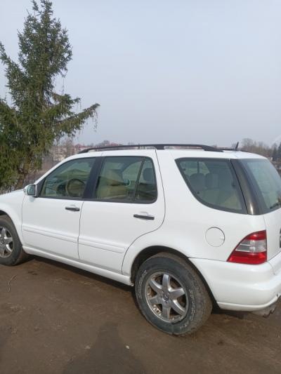  M Class (W164)