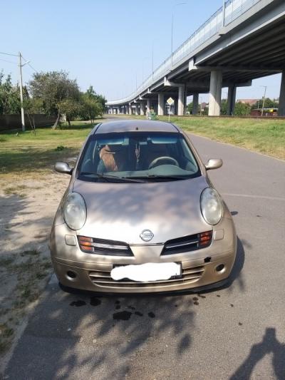  Micra