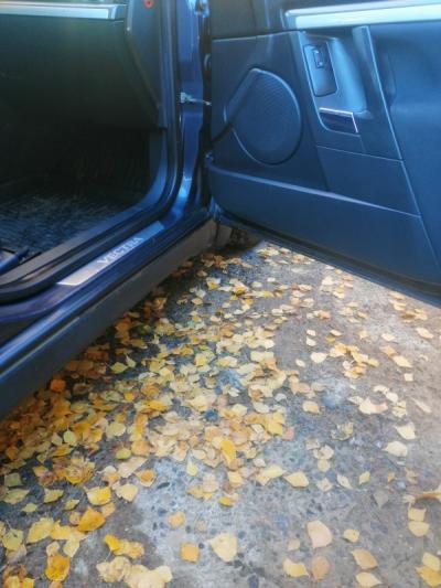  Vectra C