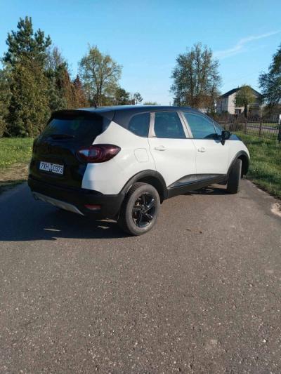  Kaptur