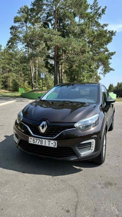  Kaptur