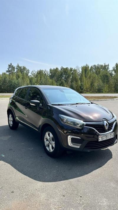  Kaptur