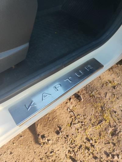  Kaptur
