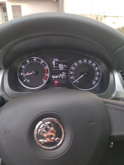  Rapid