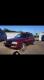 ������������� Volkswagen Golf 3