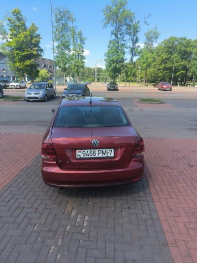  Polo